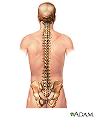 chiropractor in houston tx